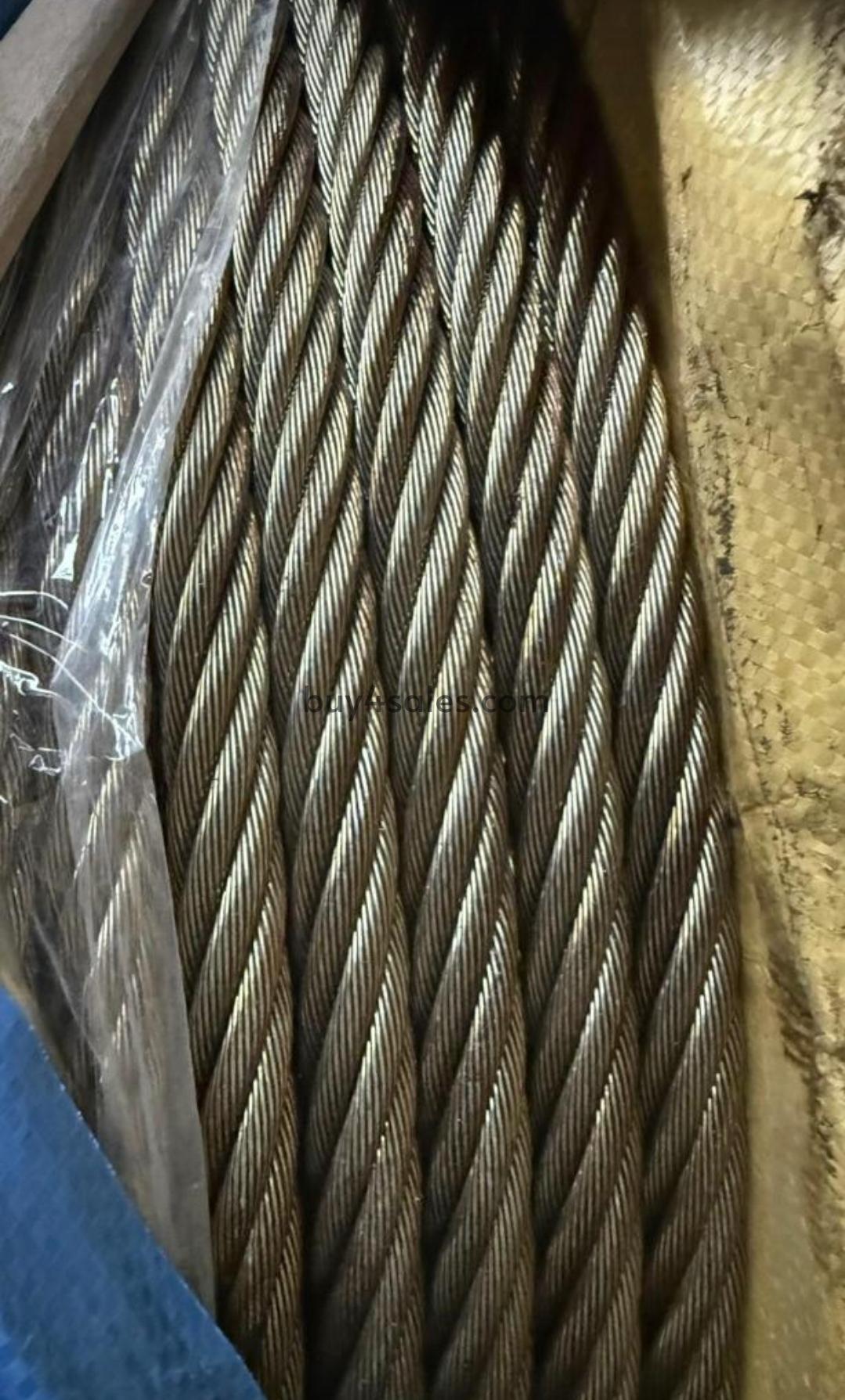 shoe image
